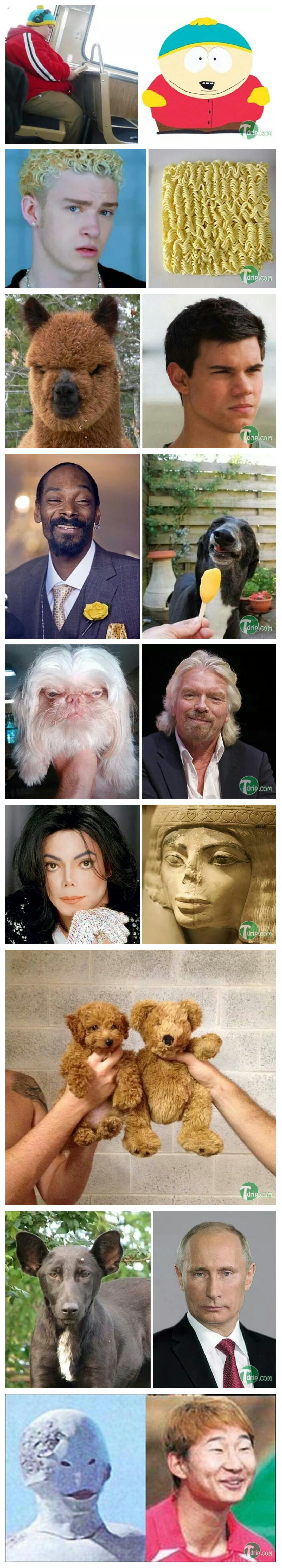 포스트의 이미지