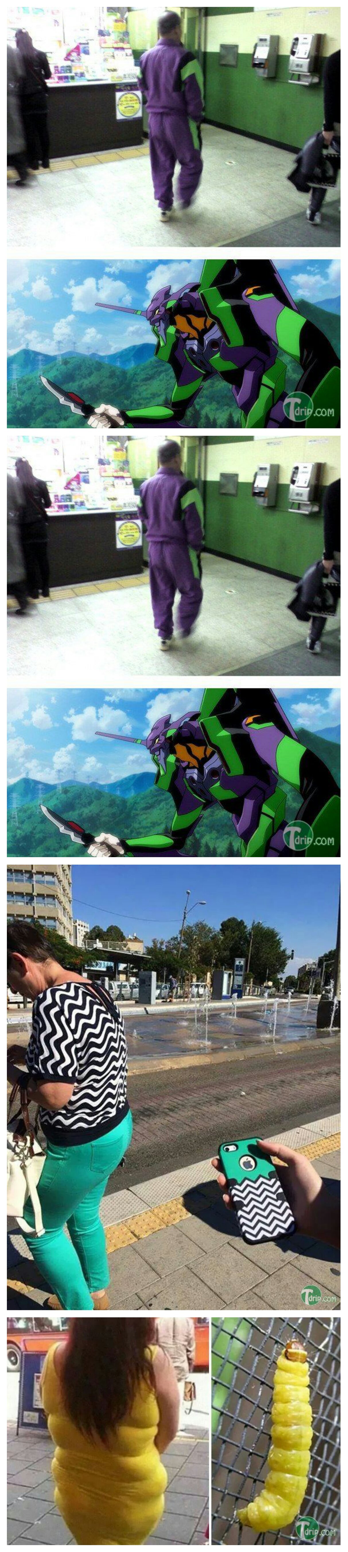 포스트의 이미지