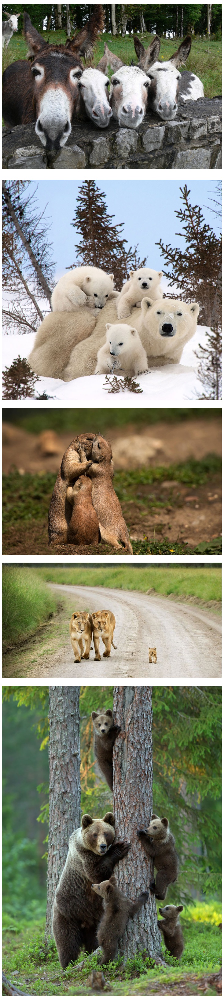 포스트의 이미지