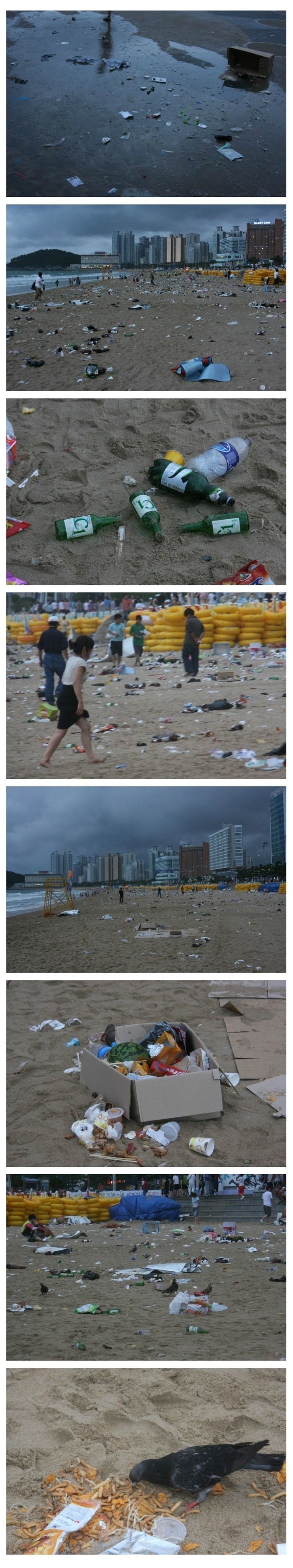 포스트의 이미지