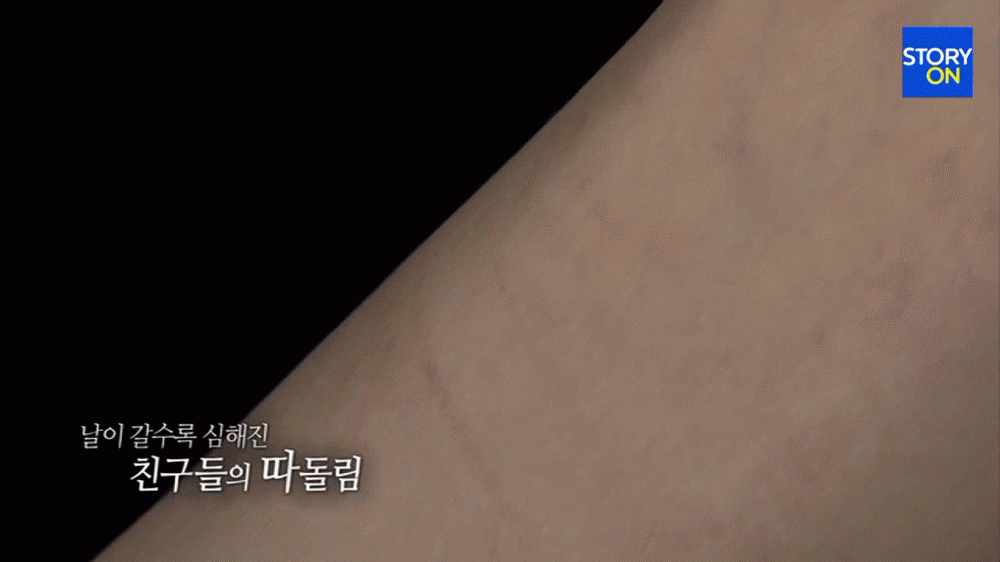 포스트의 이미지