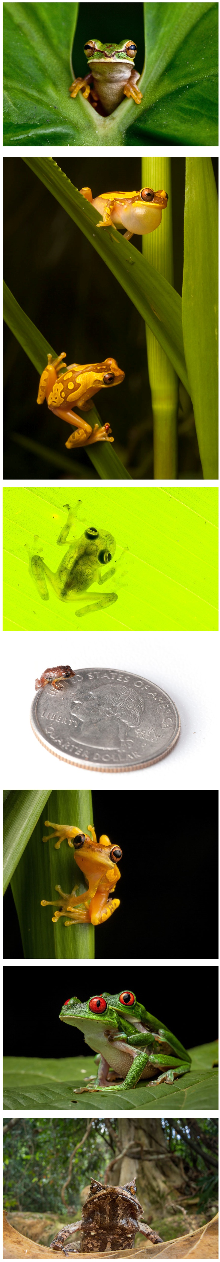 포스트의 이미지