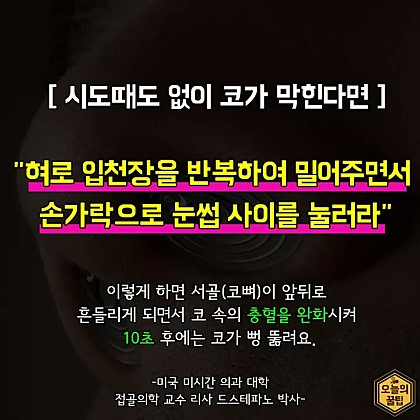 포스트의 이미지