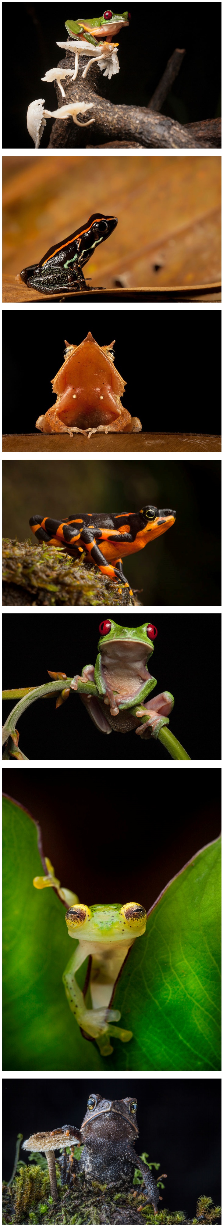 포스트의 이미지