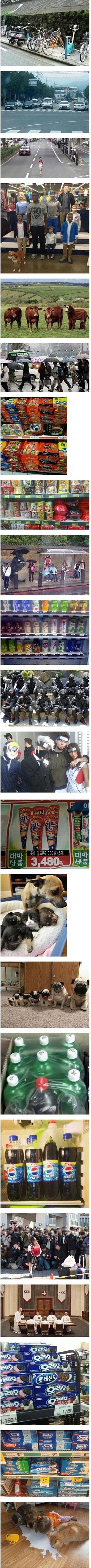 포스트의 이미지