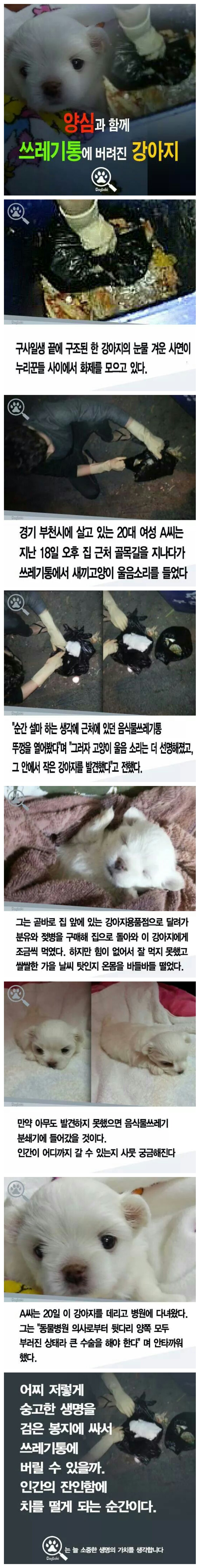 음식물쓰레기통에 버려진 강아지