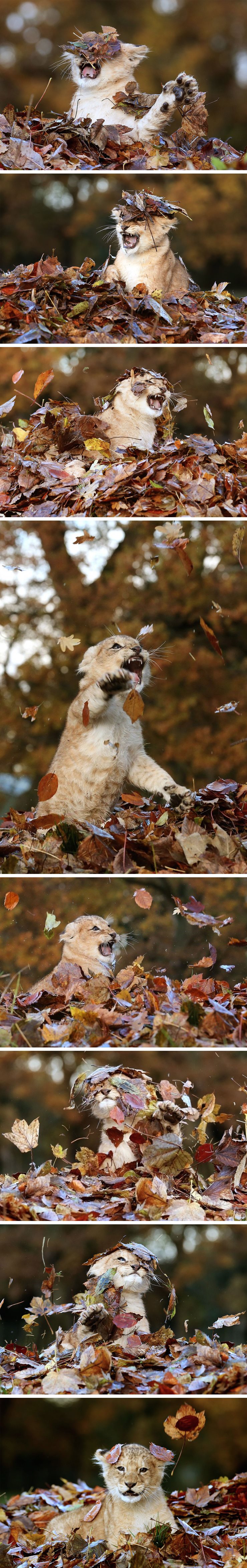 포스트의 이미지