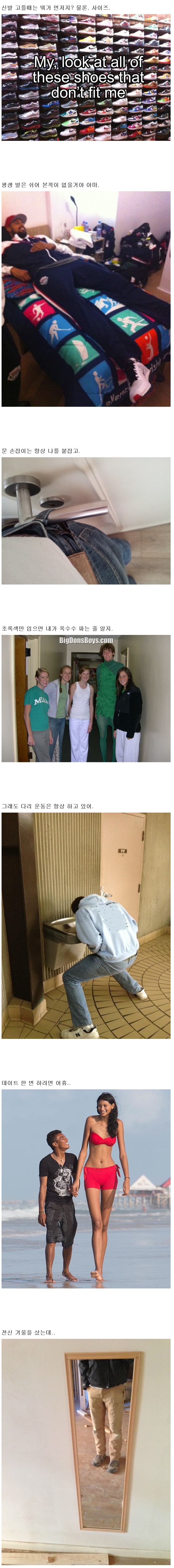 포스트의 이미지