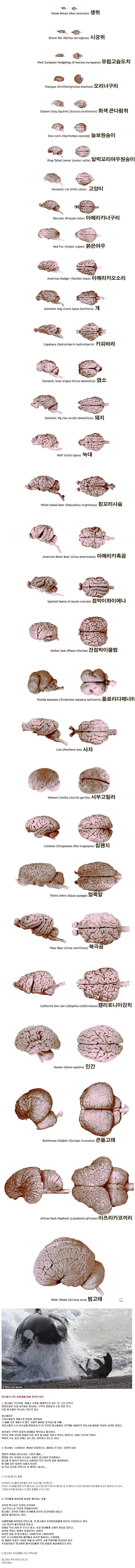 포스트의 이미지