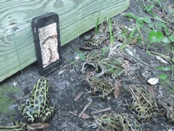 포스트의 이미지