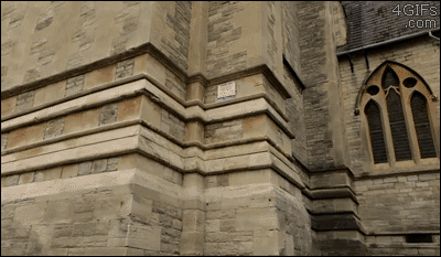 포스트의 이미지