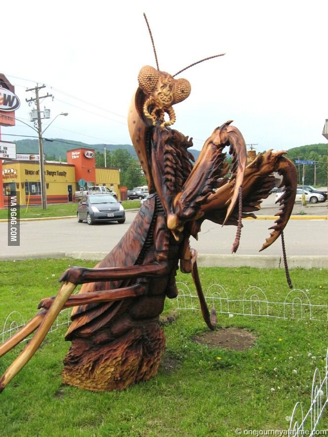 포스트의 이미지