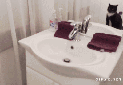 포스트의 이미지