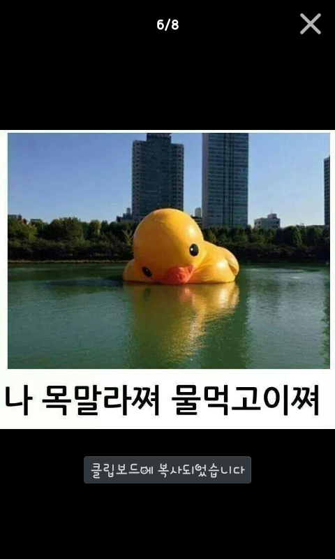 포스트의 이미지