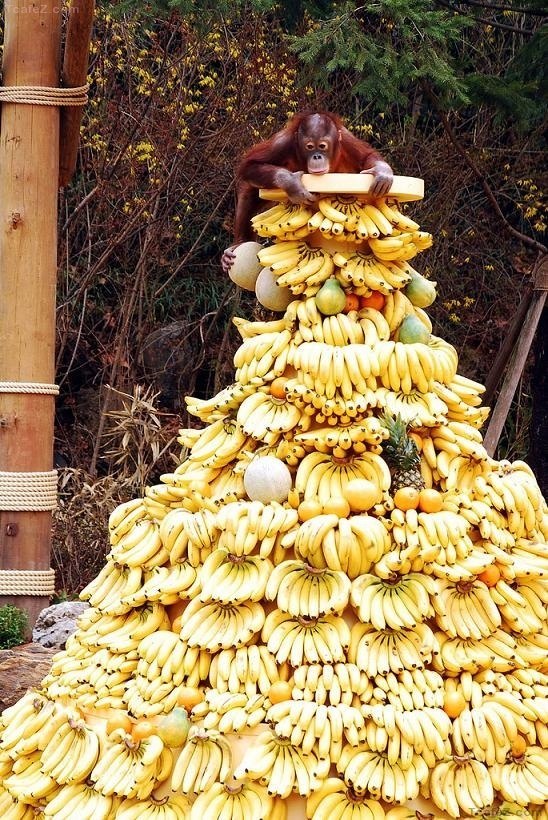 포스트의 이미지