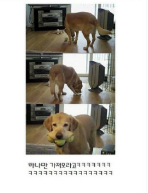 포스트의 이미지