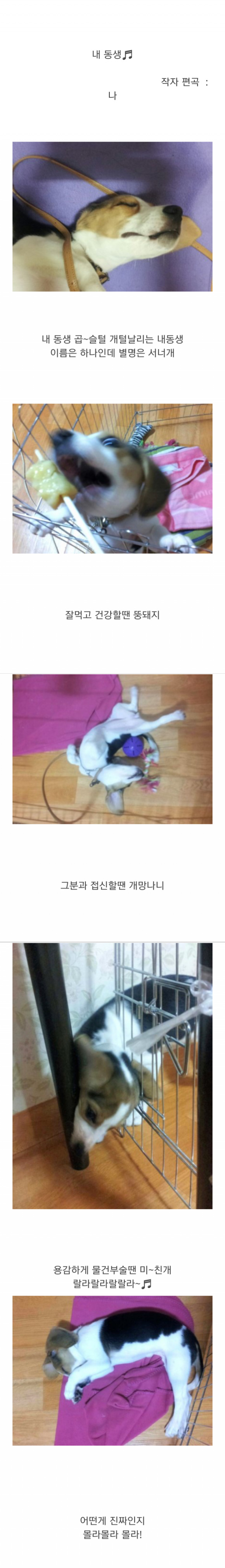 동요.. 내동생 (작사 편곡 : 나.. . 川ಠ _ಠ川)