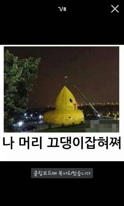 포스트의 이미지