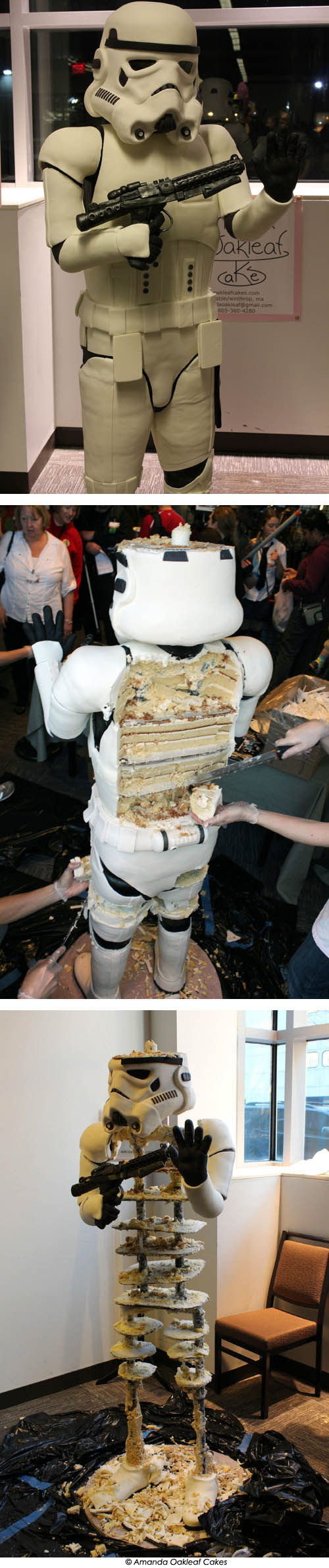 포스트의 이미지