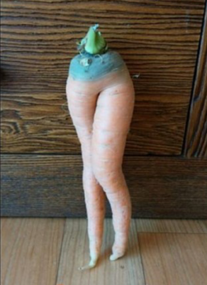 포스트의 이미지