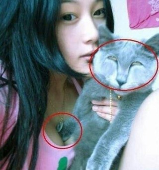 포스트의 이미지