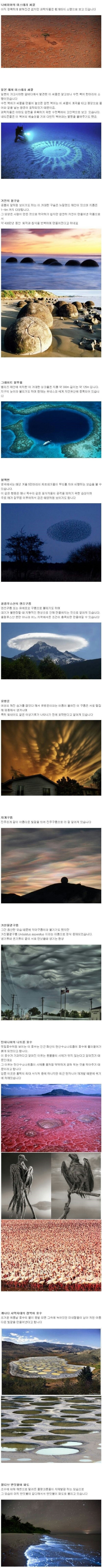 포스트의 이미지