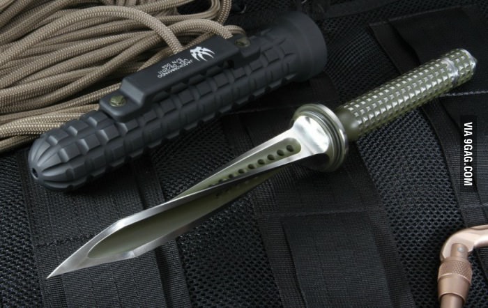 포스트의 이미지