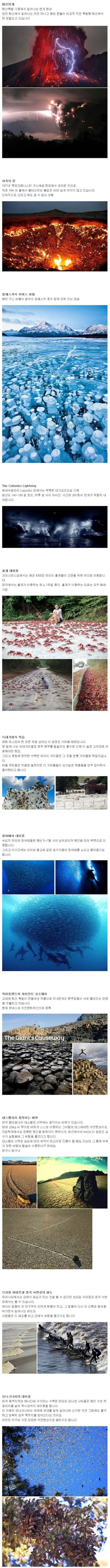 포스트의 이미지