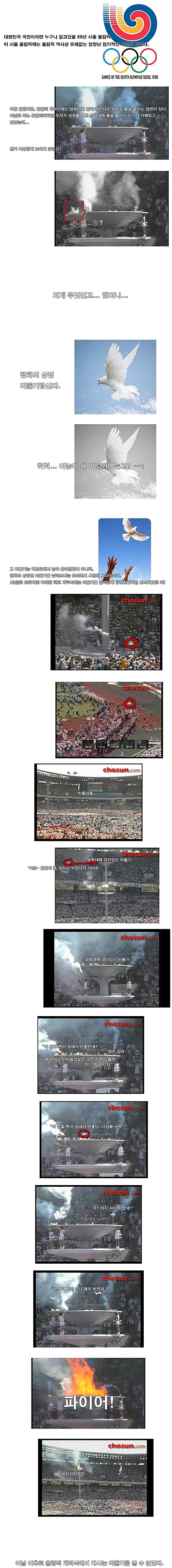 올림픽 비둘기 화형