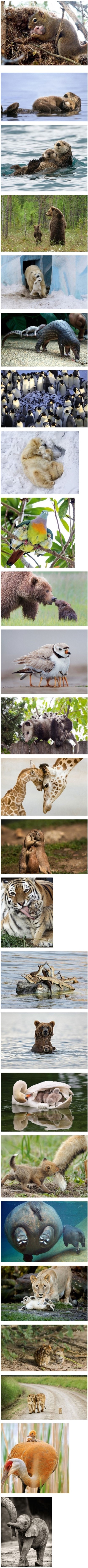 포스트의 이미지