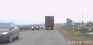 포스트의 이미지