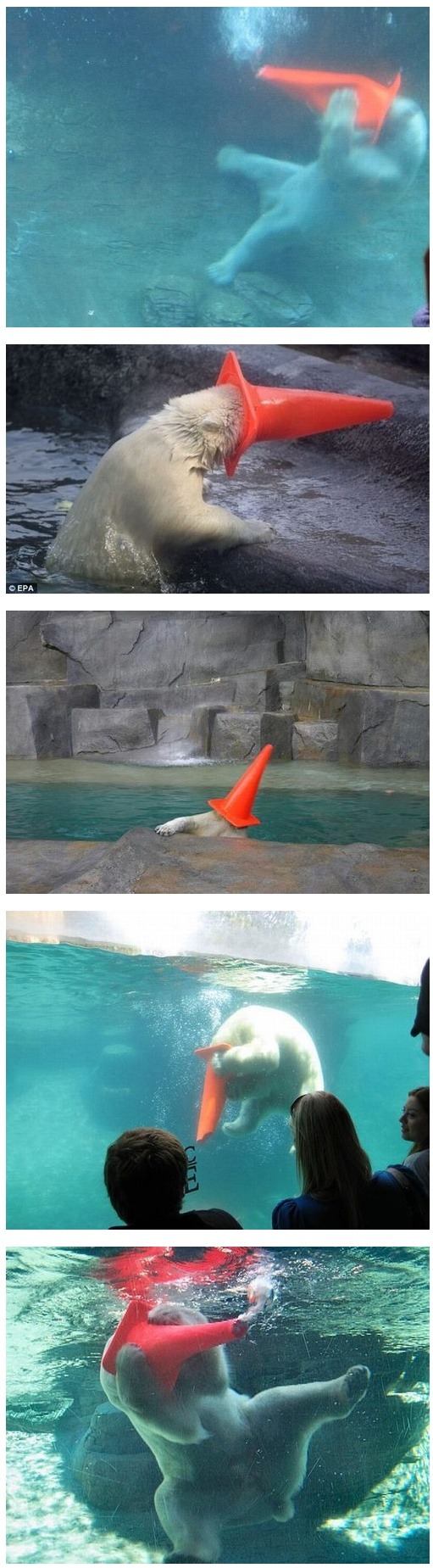 포스트의 이미지