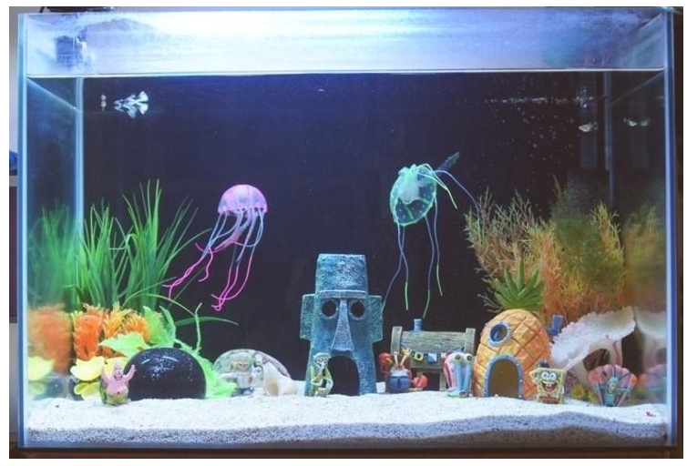 포스트의 이미지