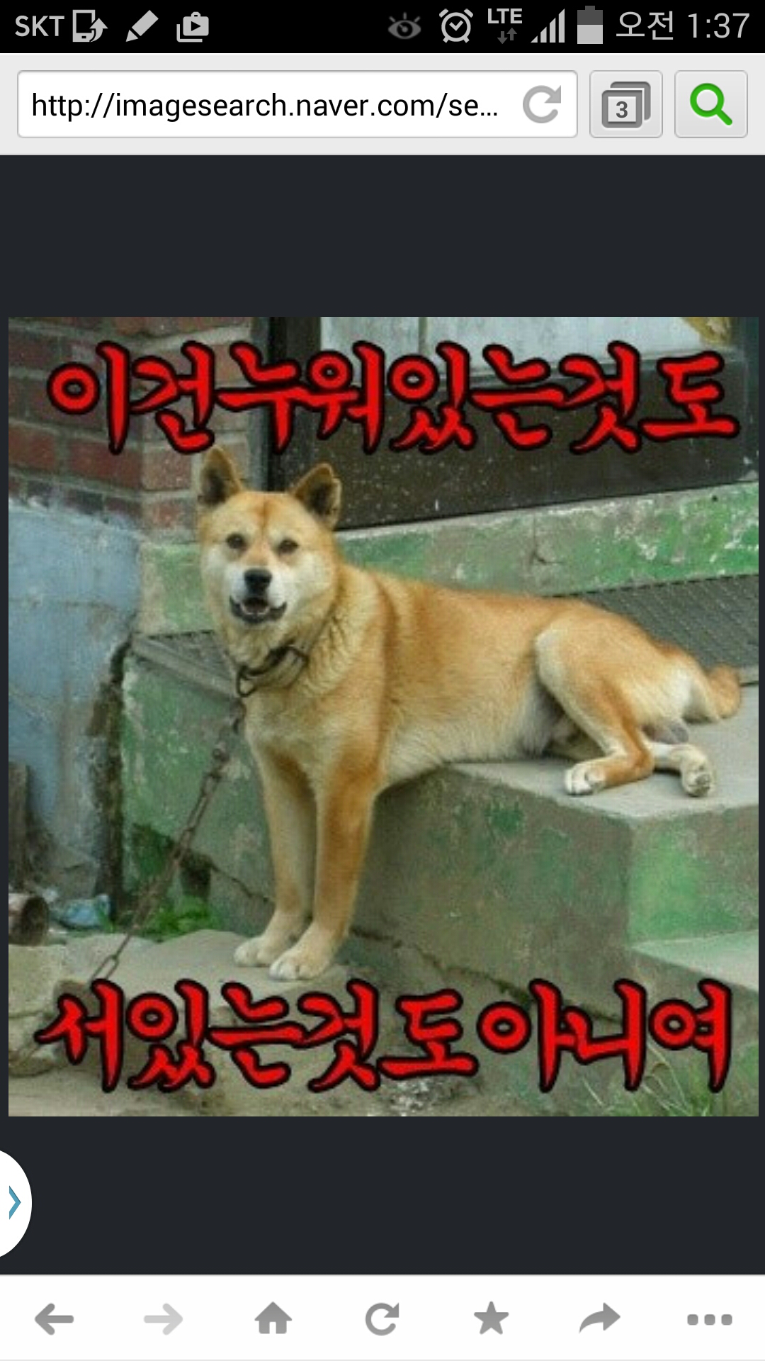 누워있는것도 서있는것도 아니여~~