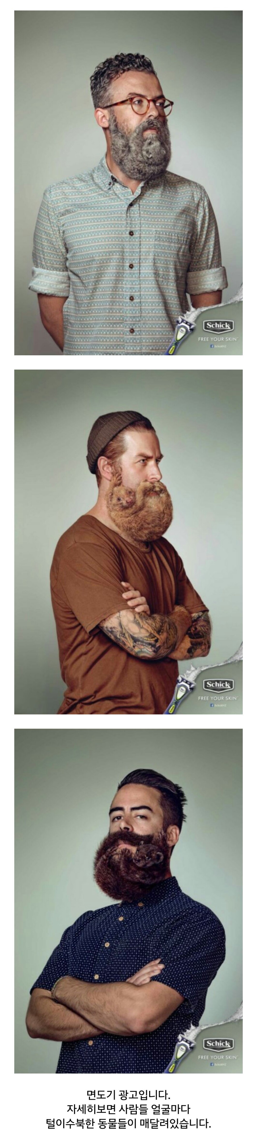 포스트의 이미지