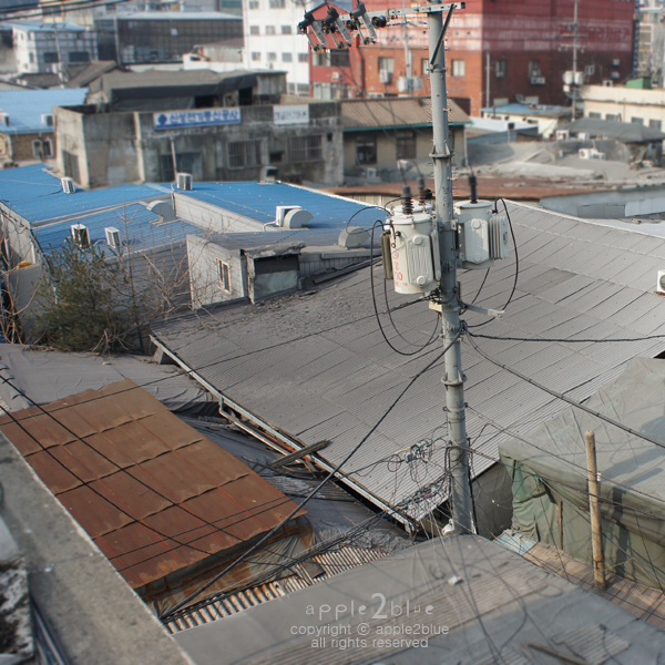 포스트의 이미지