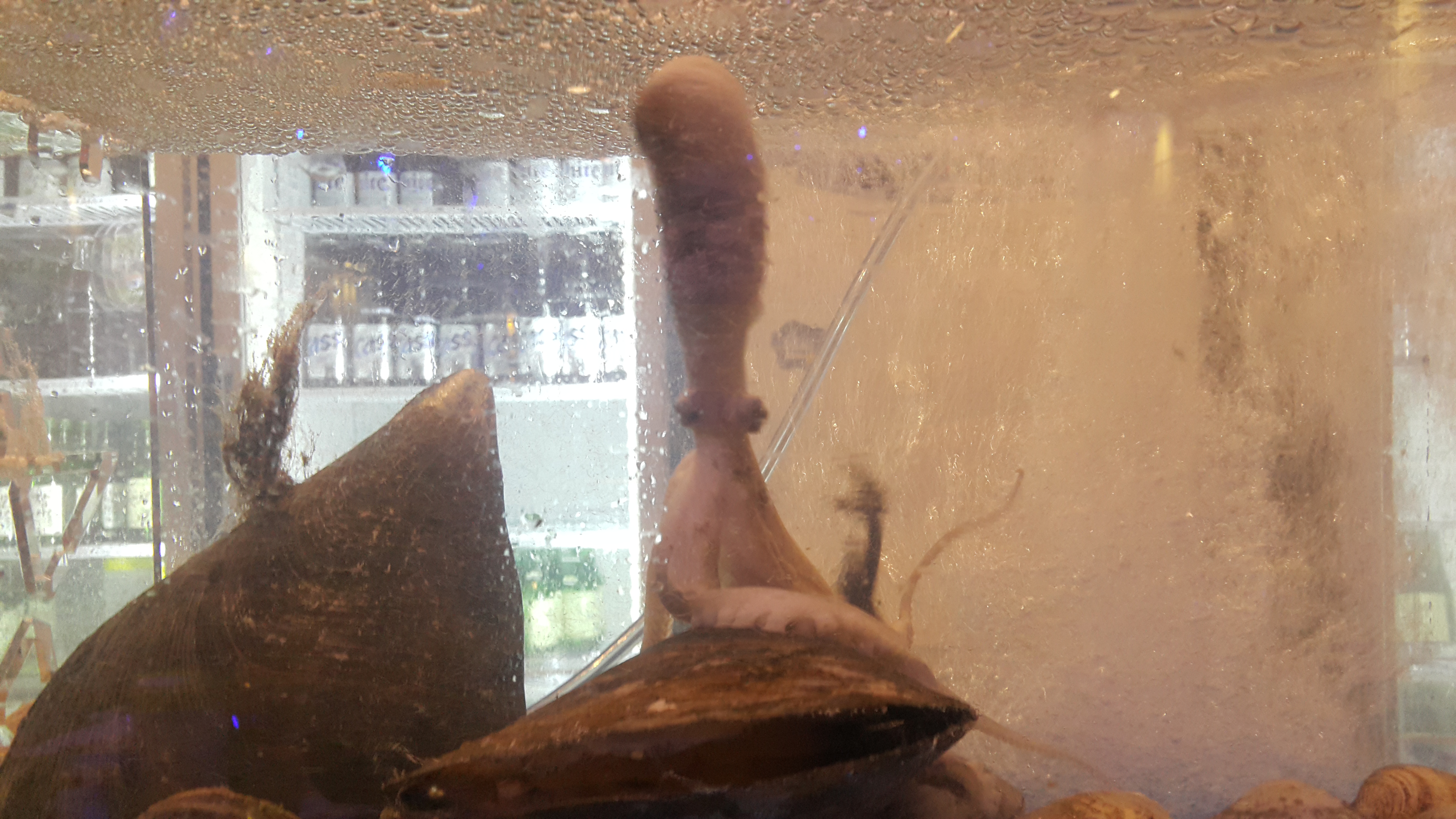 자꾸 돌아보게되네