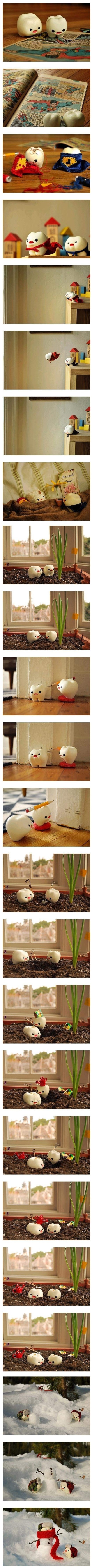 포스트의 이미지