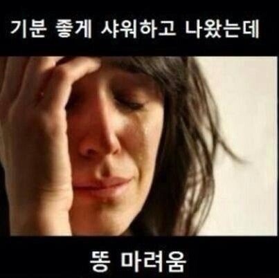 포스트의 이미지