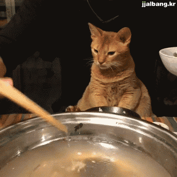 포스트의 이미지