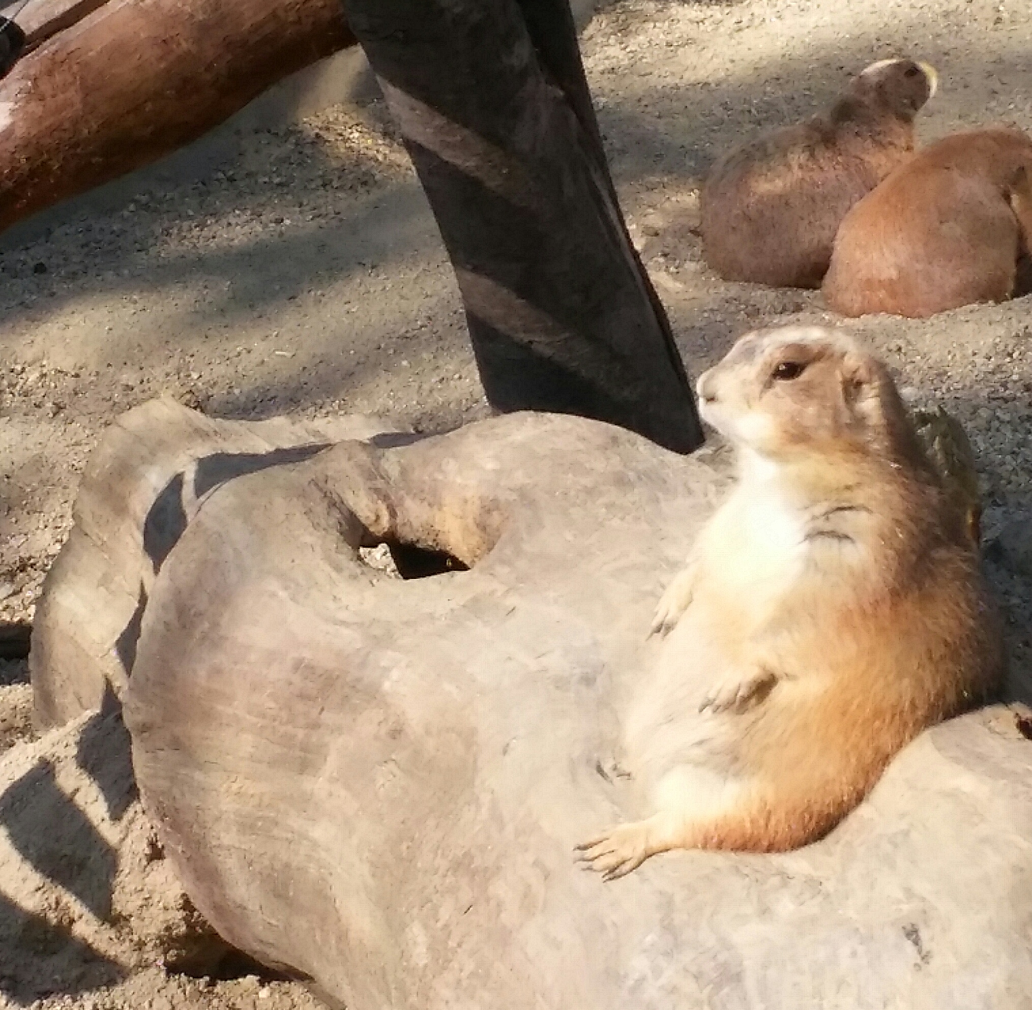 포스트의 이미지