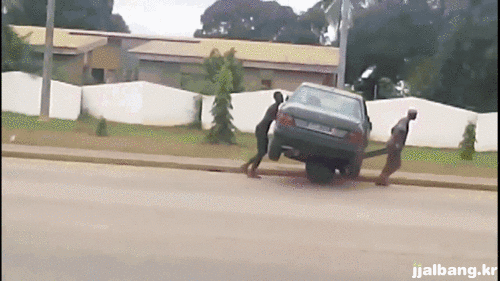 포스트의 이미지