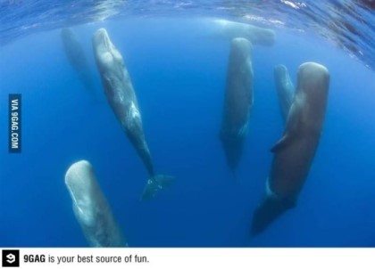 포스트의 이미지