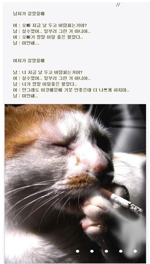 포스트의 이미지