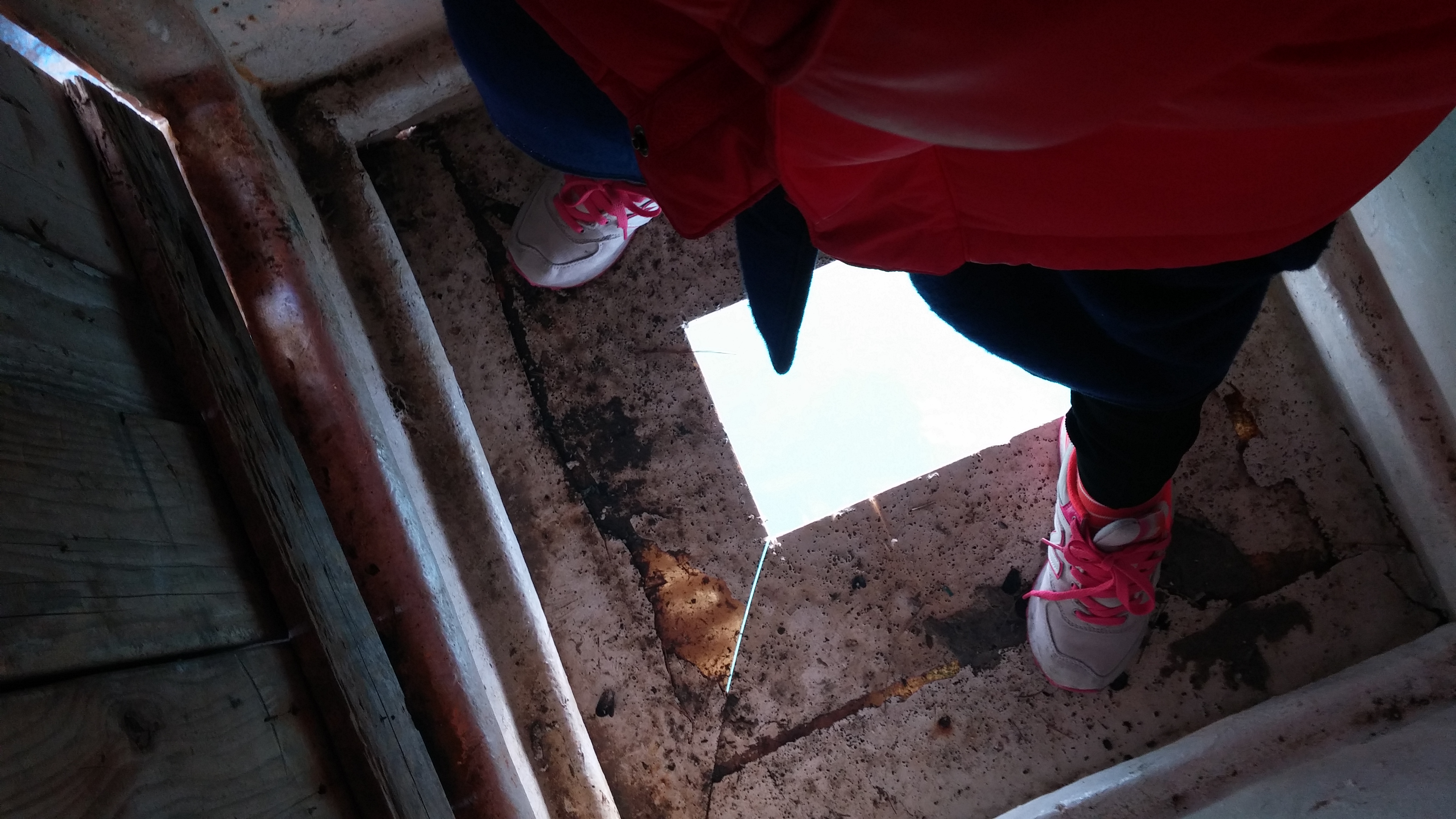 포스트의 이미지