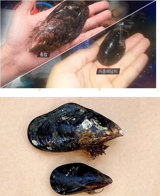 포스트의 이미지