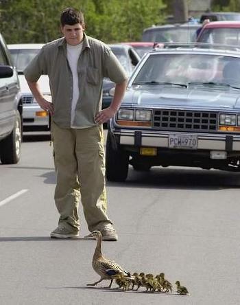 교통 마비 시킨 가족