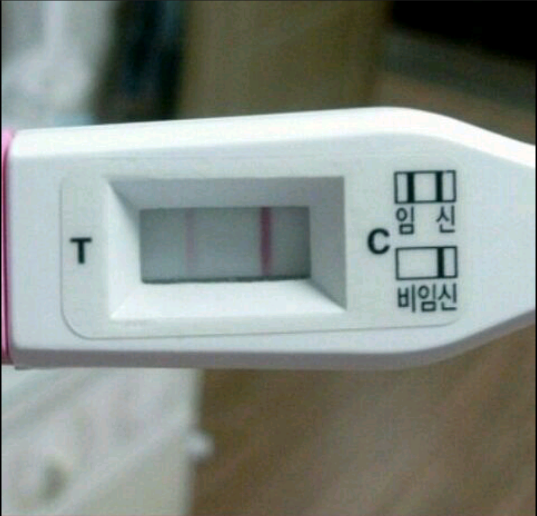 포스트의 이미지