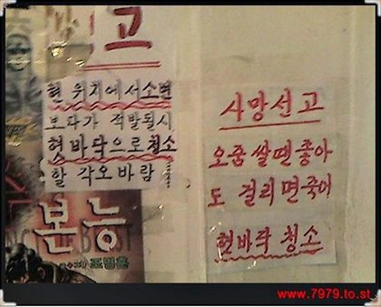 포스트의 이미지