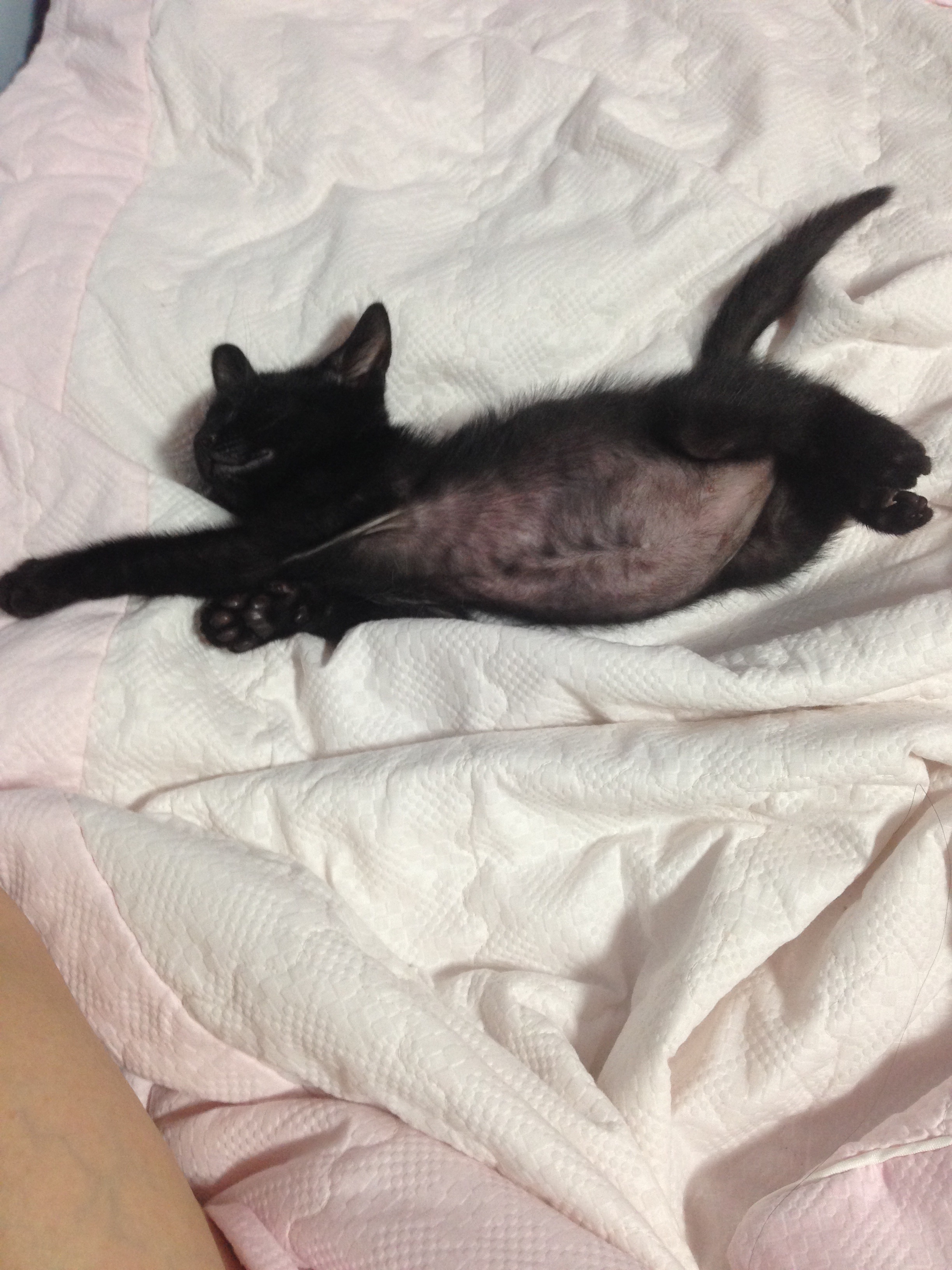 포스트의 이미지